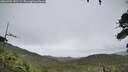 ./images/calvert/fitz-hugh-hecate/20260701/fitz-hugh-hecate20260701_142501M.jpg