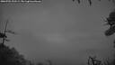 ./images/calvert/fitz-hugh-hecate/20260701/fitz-hugh-hecate20260701_223501M.jpg
