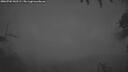 ./images/calvert/fitz-hugh-hecate/20260702/fitz-hugh-hecate20260702_043501M.jpg