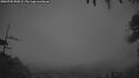 ./images/calvert/fitz-hugh-hecate/20260702/fitz-hugh-hecate20260702_044501M.jpg