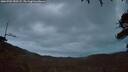 ./images/calvert/fitz-hugh-hecate/20260702/fitz-hugh-hecate20260702_050501M.jpg