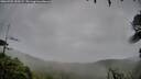 ./images/calvert/fitz-hugh-hecate/20260702/fitz-hugh-hecate20260702_053501M.jpg