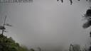 ./images/calvert/fitz-hugh-hecate/20260702/fitz-hugh-hecate20260702_060001M.jpg
