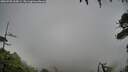 ./images/calvert/fitz-hugh-hecate/20260702/fitz-hugh-hecate20260702_065001M.jpg