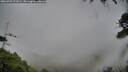 ./images/calvert/fitz-hugh-hecate/20260702/fitz-hugh-hecate20260702_071001M.jpg