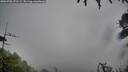 ./images/calvert/fitz-hugh-hecate/20260702/fitz-hugh-hecate20260702_071501M.jpg