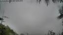 ./images/calvert/fitz-hugh-hecate/20260702/fitz-hugh-hecate20260702_074501M.jpg