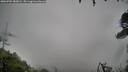 ./images/calvert/fitz-hugh-hecate/20260702/fitz-hugh-hecate20260702_080001M.jpg