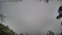 ./images/calvert/fitz-hugh-hecate/20260702/fitz-hugh-hecate20260702_080501M.jpg