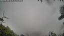 ./images/calvert/fitz-hugh-hecate/20260702/fitz-hugh-hecate20260702_081501M.jpg