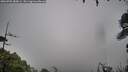 ./images/calvert/fitz-hugh-hecate/20260702/fitz-hugh-hecate20260702_085002M.jpg