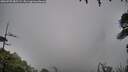 ./images/calvert/fitz-hugh-hecate/20260702/fitz-hugh-hecate20260702_085501M.jpg