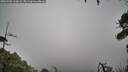 ./images/calvert/fitz-hugh-hecate/20260702/fitz-hugh-hecate20260702_110001M.jpg