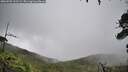 ./images/calvert/fitz-hugh-hecate/20260702/fitz-hugh-hecate20260702_133501M.jpg
