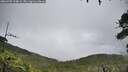 ./images/calvert/fitz-hugh-hecate/20260702/fitz-hugh-hecate20260702_134001M.jpg