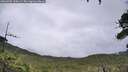 ./images/calvert/fitz-hugh-hecate/20260702/fitz-hugh-hecate20260702_135001M.jpg