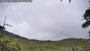 ./images/calvert/fitz-hugh-hecate/20260702/fitz-hugh-hecate20260702_141002M.jpg