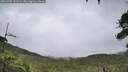 ./images/calvert/fitz-hugh-hecate/20260702/fitz-hugh-hecate20260702_141501M.jpg