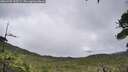 ./images/calvert/fitz-hugh-hecate/20260702/fitz-hugh-hecate20260702_142502M.jpg