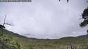 ./images/calvert/fitz-hugh-hecate/20260702/fitz-hugh-hecate20260702_144001M.jpg