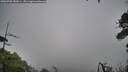 ./images/calvert/fitz-hugh-hecate/20260702/fitz-hugh-hecate20260702_150501M.jpg