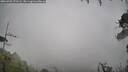 ./images/calvert/fitz-hugh-hecate/20260702/fitz-hugh-hecate20260702_173501M.jpg