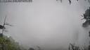 ./images/calvert/fitz-hugh-hecate/20260702/fitz-hugh-hecate20260702_174001M.jpg