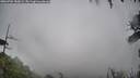 ./images/calvert/fitz-hugh-hecate/20260702/fitz-hugh-hecate20260702_180002M.jpg