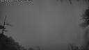 ./images/calvert/fitz-hugh-hecate/20260703/fitz-hugh-hecate20260703_043501M.jpg