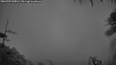 ./images/calvert/fitz-hugh-hecate/20260703/fitz-hugh-hecate20260703_044001M.jpg