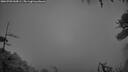 ./images/calvert/fitz-hugh-hecate/20260703/fitz-hugh-hecate20260703_044502M.jpg