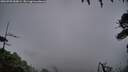 ./images/calvert/fitz-hugh-hecate/20260703/fitz-hugh-hecate20260703_050001M.jpg