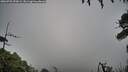 ./images/calvert/fitz-hugh-hecate/20260703/fitz-hugh-hecate20260703_070002M.jpg