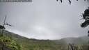 ./images/calvert/fitz-hugh-hecate/20260703/fitz-hugh-hecate20260703_094501M.jpg