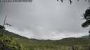 ./images/calvert/fitz-hugh-hecate/20260703/fitz-hugh-hecate20260703_100001M.jpg