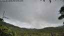 ./images/calvert/fitz-hugh-hecate/20260703/fitz-hugh-hecate20260703_100501M.jpg