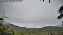 ./images/calvert/fitz-hugh-hecate/20260703/fitz-hugh-hecate20260703_103001M.jpg