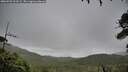 ./images/calvert/fitz-hugh-hecate/20260703/fitz-hugh-hecate20260703_103501M.jpg