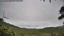 ./images/calvert/fitz-hugh-hecate/20260703/fitz-hugh-hecate20260703_104502M.jpg