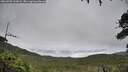./images/calvert/fitz-hugh-hecate/20260703/fitz-hugh-hecate20260703_105001M.jpg