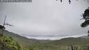 ./images/calvert/fitz-hugh-hecate/20260703/fitz-hugh-hecate20260703_111001M.jpg