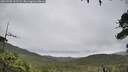./images/calvert/fitz-hugh-hecate/20260703/fitz-hugh-hecate20260703_111501M.jpg
