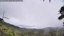 ./images/calvert/fitz-hugh-hecate/20260703/fitz-hugh-hecate20260703_113002M.jpg
