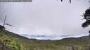 ./images/calvert/fitz-hugh-hecate/20260703/fitz-hugh-hecate20260703_114001M.jpg