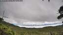 ./images/calvert/fitz-hugh-hecate/20260703/fitz-hugh-hecate20260703_120502M.jpg