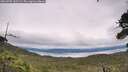 ./images/calvert/fitz-hugh-hecate/20260703/fitz-hugh-hecate20260703_140502M.jpg