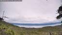 ./images/calvert/fitz-hugh-hecate/20260703/fitz-hugh-hecate20260703_143502M.jpg