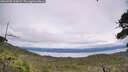 ./images/calvert/fitz-hugh-hecate/20260703/fitz-hugh-hecate20260703_144001M.jpg