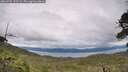 ./images/calvert/fitz-hugh-hecate/20260703/fitz-hugh-hecate20260703_153502M.jpg