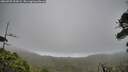 ./images/calvert/fitz-hugh-hecate/20260703/fitz-hugh-hecate20260703_202002M.jpg